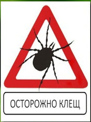 Плакат клещи рисунок